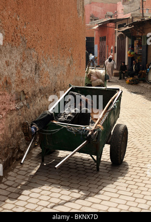 Abgebildet ist ein marokkanischen Mann schlafend in seinem Wagen in die Souks von Marrakesch, Marokko Stockfoto