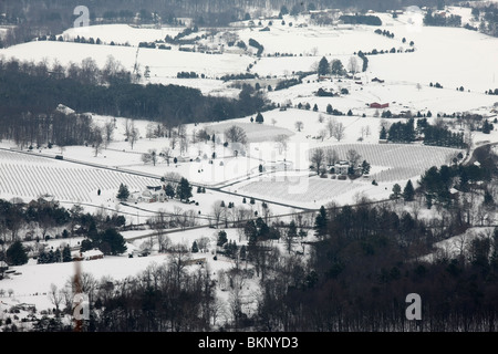 Schneefall in Charlottesville, VA. Stockfoto