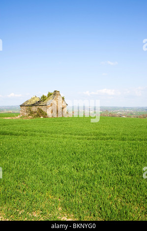 Offene Felder mit alten zerstört Scheune und landwirtschaftliche Grundstück mit Pflanzen wachsen in der Nähe von Pradinas Aveyron Midi-Pyrenäen-Frankreich Stockfoto