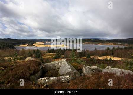 In Richtung Bull Craig Halbinsel Kielder Wasserbehälter aus Elf Kirk Sicht Stockfoto