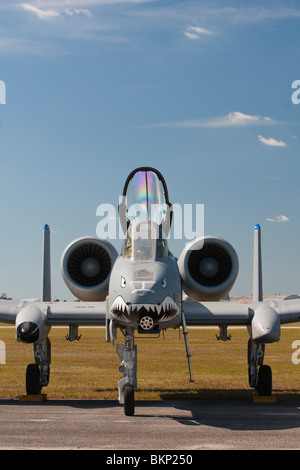 Eine a-10 Thunderbolt steht auf dem Display an der Stuart Luftfahrtmesse in Florida, USA Stockfoto