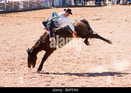 ein Cowboy konkurriert in das Reiten ohne Sattel Ereignis während der O' odham Tash All-indischen rodeo Stockfoto