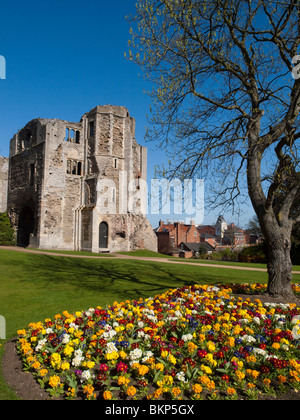 Hübsche Frühlingsblumen im Schlossgarten Newark, Nottinghamshire, England UK Stockfoto
