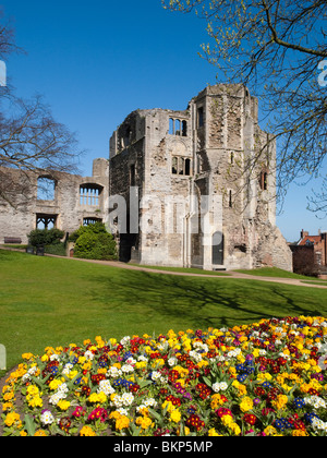 Hübsche Frühlingsblumen im Schlossgarten Newark, Nottinghamshire, England UK Stockfoto