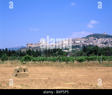 Panorama der Stadt Assisi, Provinz Perugia, Umbrien, Italien Stockfoto