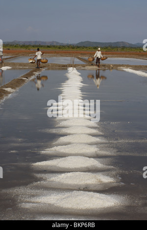 Männer und Frauen arbeiten in der glühend heißen Salz Farmen von Kampot, Kambodscha. Stockfoto