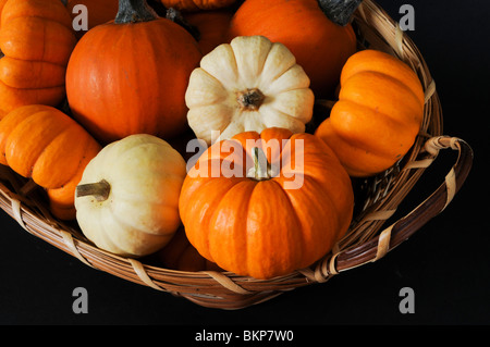 Kürbisse in einem Korb Stockfoto
