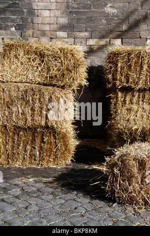 gelbe Strohballen in Hof Stockfoto