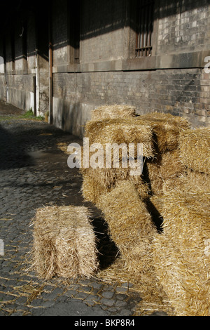 gelbe Strohballen in Hof Stockfoto