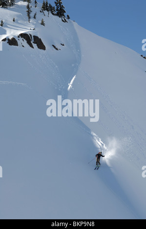 Ein Skifahrer in einem Pool von Sonnenlicht Skifahren abseits der Piste Pulverschnee in den Mount Baker Backcountry Whatcom County Washington State USA Stockfoto