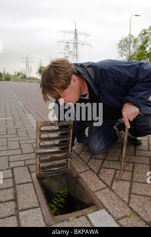 Inventarisatiemedewerker van Floron Onderzoekt in Rioolputten in Binnenstad van Utrecht Varens. Farne wachsen im Abwasser tanks Kanalisation. Ruben Smit Digital-Bild-Archiv Stockfoto