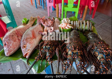 Eine Auswahl an mexikanischen Meeresfrüchte am Display, Santa Cruz, Huatulco, Mexiko Stockfoto