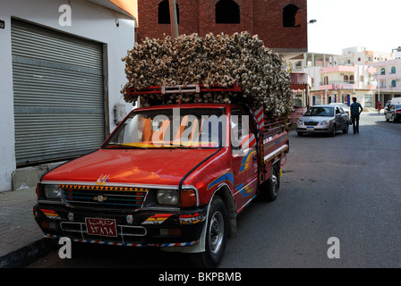 Pickup-Truck gefüllt mit Knoblauch in Hurghada, Ägypten Stockfoto