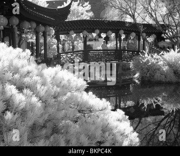 Portland Oregon chinesischer Garten, schwarz / weiß-Infrarot Stockfoto