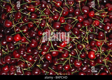 Background texture of fresh bing cherries Stockfoto