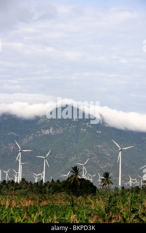 Windpark in der ländlichen Gegend von Thirunelveli, Tamilnadu, Indien, Asien Stockfoto