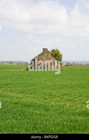 Eine alte Stein gebaut Scheune oder Hütte in Schutt und Asche in einem Feld auf einer Farm in der Nähe von Laval Aveyron-Frankreich Stockfoto