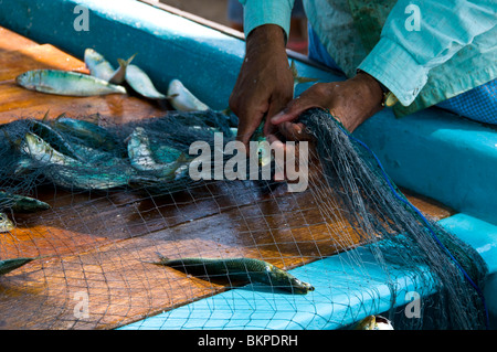 Fischer, die Sortierung Fischernetze Muscat Oman Stockfoto