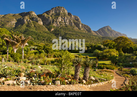 Der botanische Garten von Kirstenbosch in Kapstadt in Südafrika in
