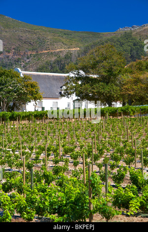 Das Herrenhaus im Groot Constantia Wine Estate in Cape Town, Südafrika. Stockfoto