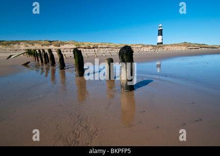 Alten Meer Abwehr zu verschmähen Head Nature Reserve in der Nähe von Hull, North Yorkshire mit Sporn Point Leuchtturm im Hintergrund. Stockfoto