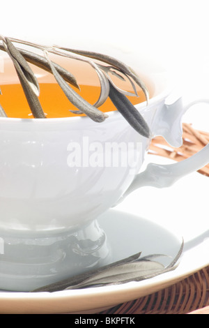 Nahaufnahme einer Tasse Tee und Olivenbaumblättern Stockfoto