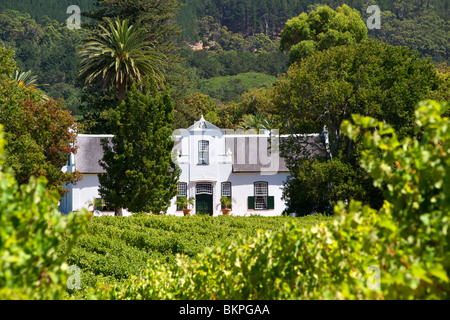 Blick auf das Herrenhaus und die Weinberge im Buitenverwagting Wine Estate in Constantia, Kapstadt, Südafrika. Stockfoto