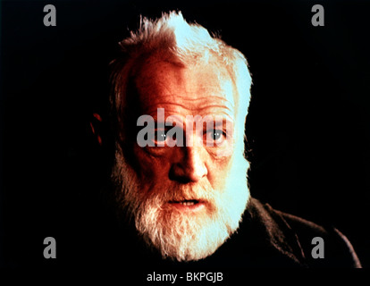 DAS FELD (1990) RICHARD HARRIS JIM SHERIDAN (DIR) FELD 008 Stockfoto