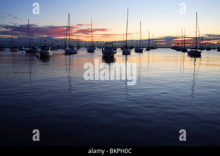 BOOTE BEI MORGENGRAUEN IN MONROE HARBOR IN DER INNENSTADT VON CHICAGO, ILLINOIS, USA Stockfoto