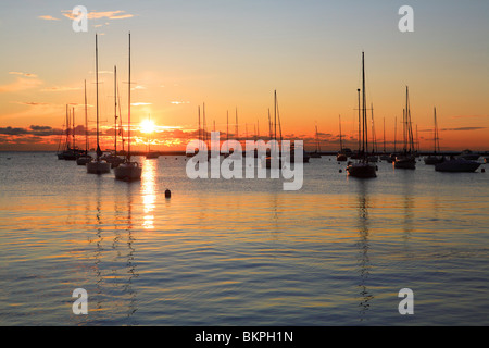 BOOTE BEI SONNENAUFGANG IM HAFEN VON MONROE IN DER INNENSTADT VON CHICAGO, ILLINOIS, USA Stockfoto