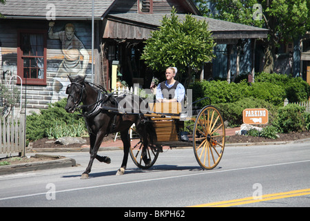 Eine amische Dame verwendet einen Pferdekutsche-Buggy fahren auf einer Straße in Lancaster County, PA. Stockfoto