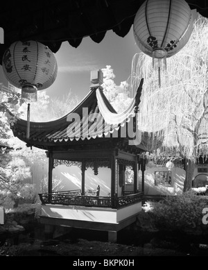 Portland Oregon chinesischer Garten, schwarz / weiß-Infrarot Stockfoto