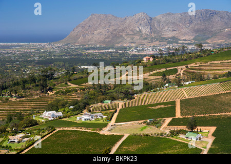 Blick auf Weinberge im Constantia Bereich der südlichen Vororte von Kapstadt in Südafrika. Stockfoto