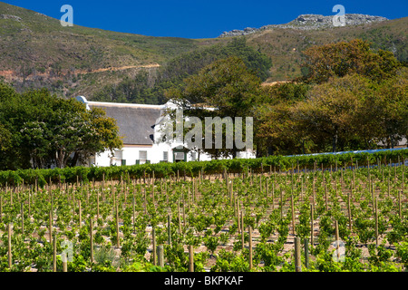 Das Herrenhaus im Groot Constantia Wine Estate in Cape Town, Südafrika. Stockfoto