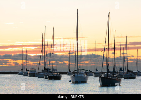 BOOTE BEI MORGENGRAUEN IN MONROE HARBOR IN DER INNENSTADT VON CHICAGO, ILLINOIS, USA Stockfoto