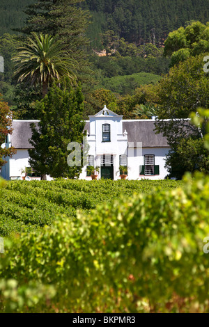 Blick auf das Herrenhaus und die Weinberge im Buitenverwagting Wine Estate in Constantia, Kapstadt, Südafrika. Stockfoto