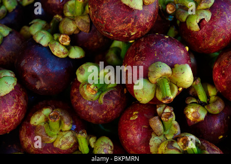 Mangostanfrüchte Stockfoto