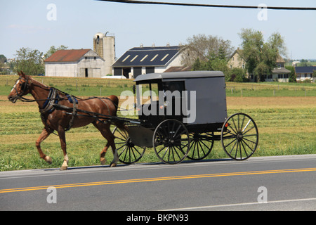 Eine amische Dame verwendet einen Pferdekutsche-Buggy fahren auf einer Straße in Lancaster County, PA. Stockfoto