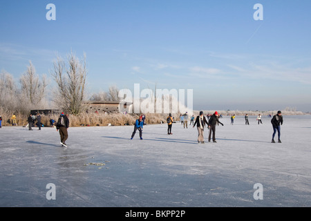 Schaatsers in de Oostvaardersplassen Stockfoto