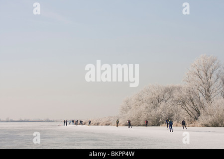 Schaatsers in de Oostvaardersplassen Stockfoto