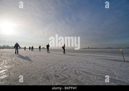 Schaatsers in de Oostvaardersplassen Stockfoto