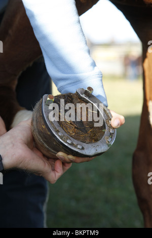 Schraubstollen Anbringen / stud Stockfoto