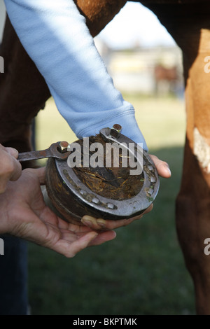 Schraubstollen Anbringen / stud Stockfoto