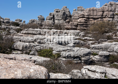 El Torcal de Antequera. Sierra del Torcal. Andalusien. Provinz Malaga. Antequera. Spanien Stockfoto