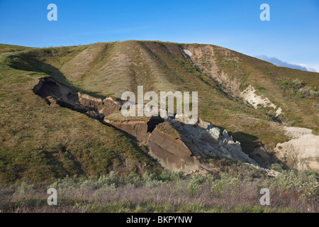 Hang-Ausfall am Berghang in Sable Pass, Denali-Nationalpark, Alaska Stockfoto