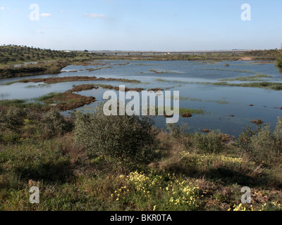 Castro Marim, Salzpfannen. Portugal. Naturschutzgebiet von Grenze zu Spanien. Brücke nach Spanien im Hintergrund. März 2010 Stockfoto