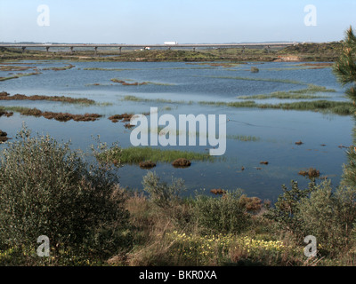 Castro Marim, Salzpfannen. Portugal. Naturschutzgebiet von Grenze zu Spanien. Brücke nach Spanien im Hintergrund. März 2010 Stockfoto