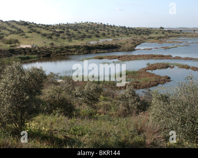 Castro Marim, Salzpfannen. Portugal. Naturschutzgebiet von Grenze zu Spanien. Brücke nach Spanien im Hintergrund. März 2010 Stockfoto