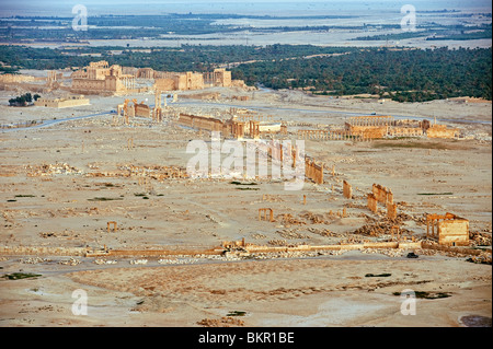 Syrien, Palmyra. Luftaufnahme der Oase. Stockfoto