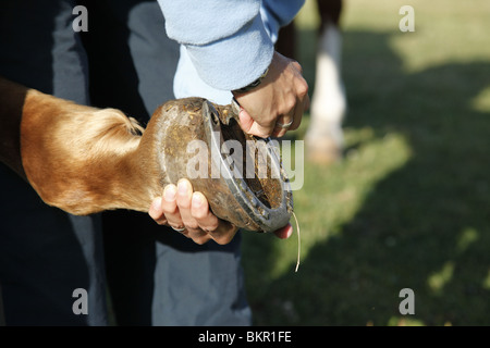 Schraubstollen Anbringen / stud Stockfoto